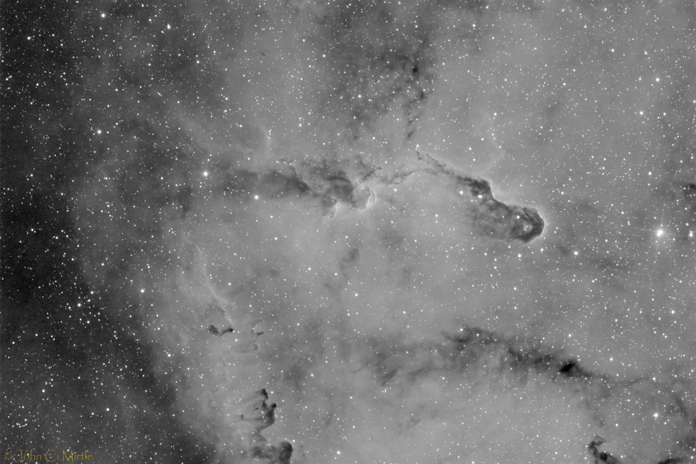 IC1396a in Cepheus