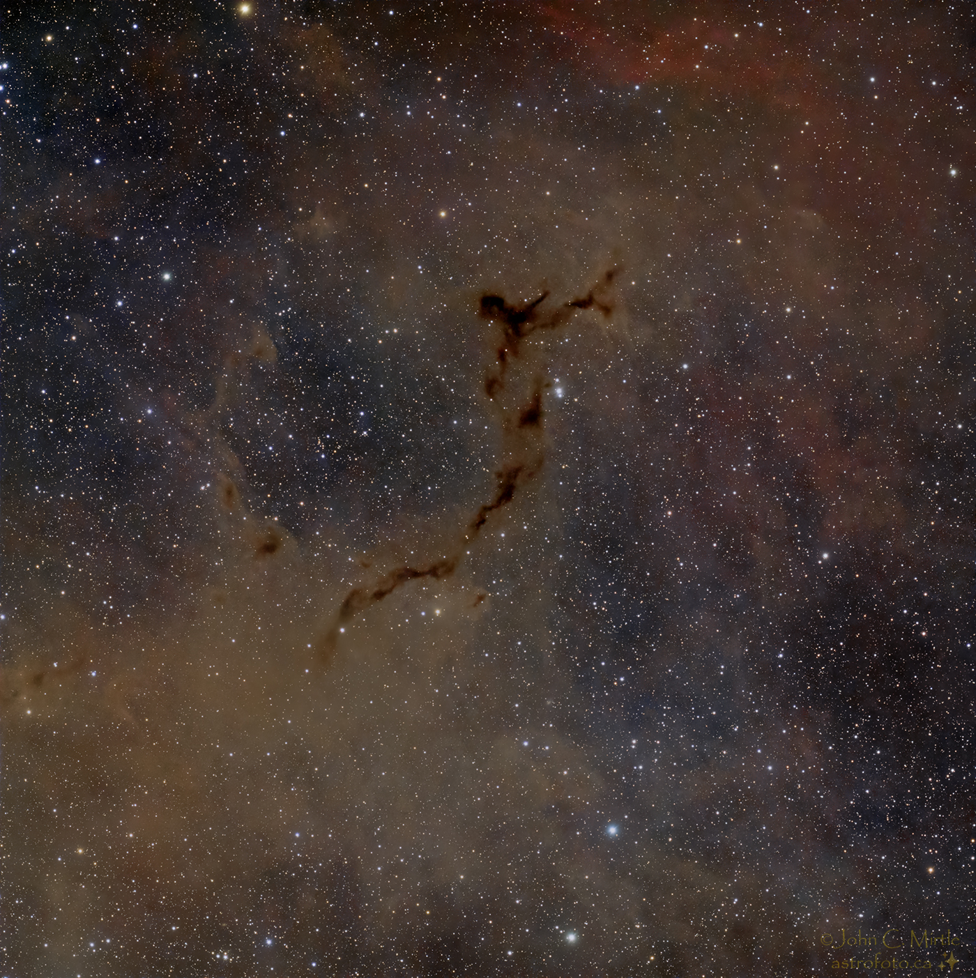 Seahorse Nebula