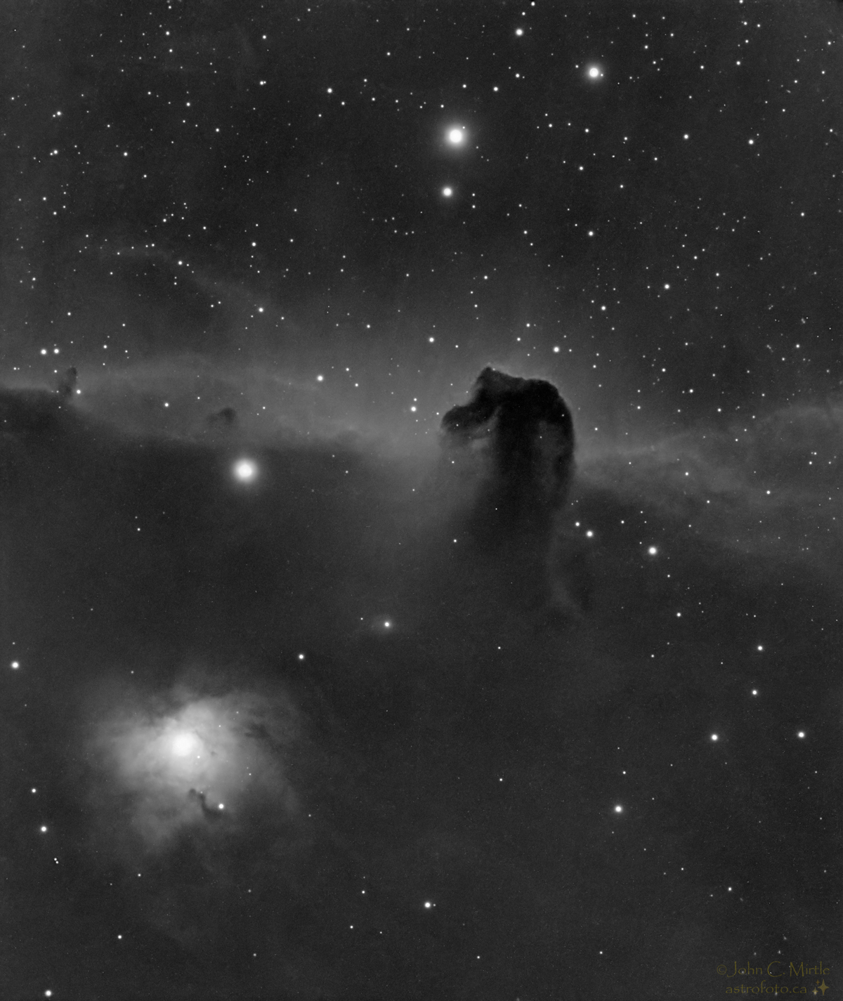 M42 - Horsehead region of Orion