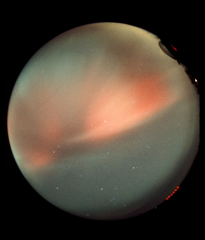 All-Sky Aurora