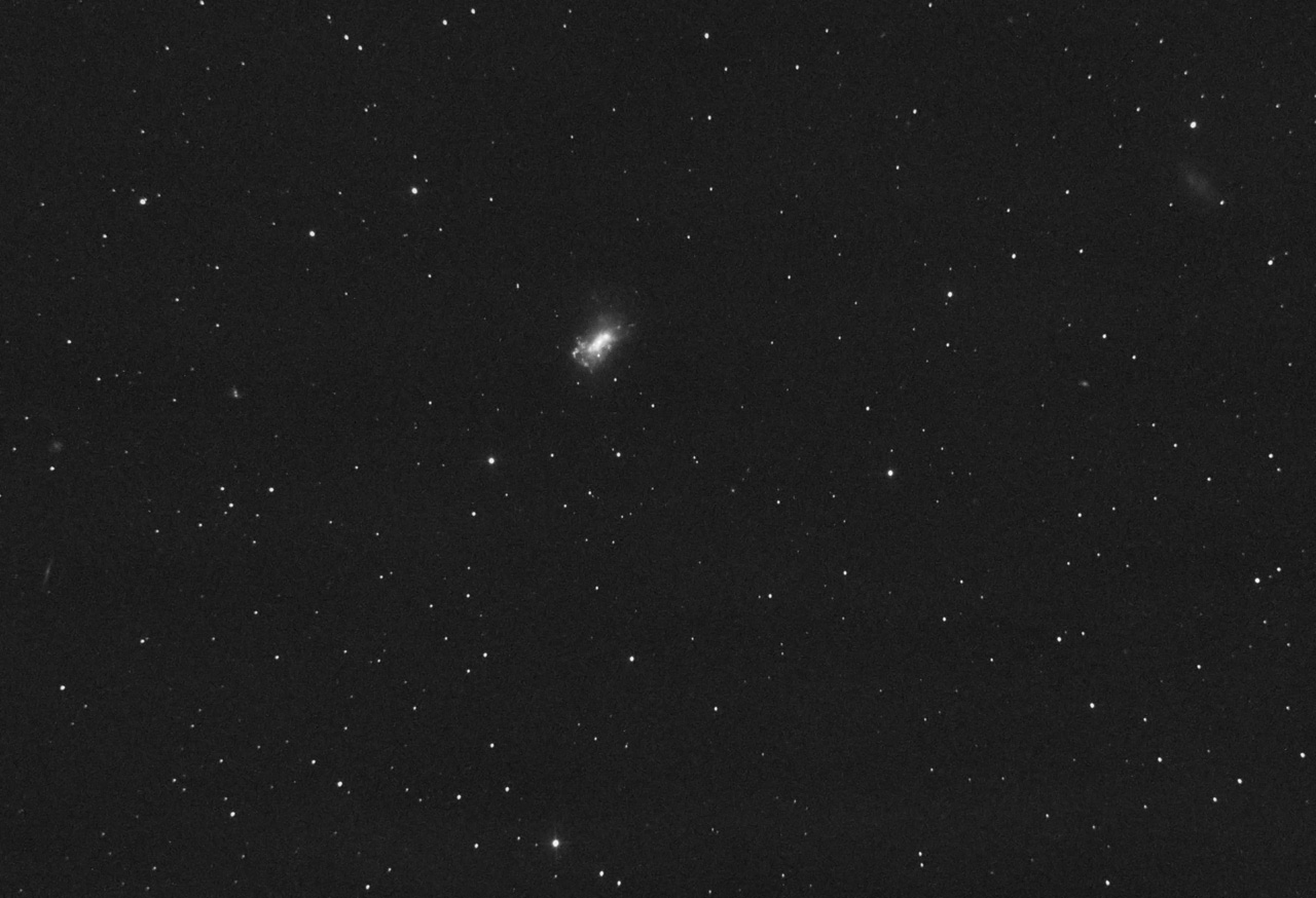 NGC4449 - Galaxy in Canes Venatici
