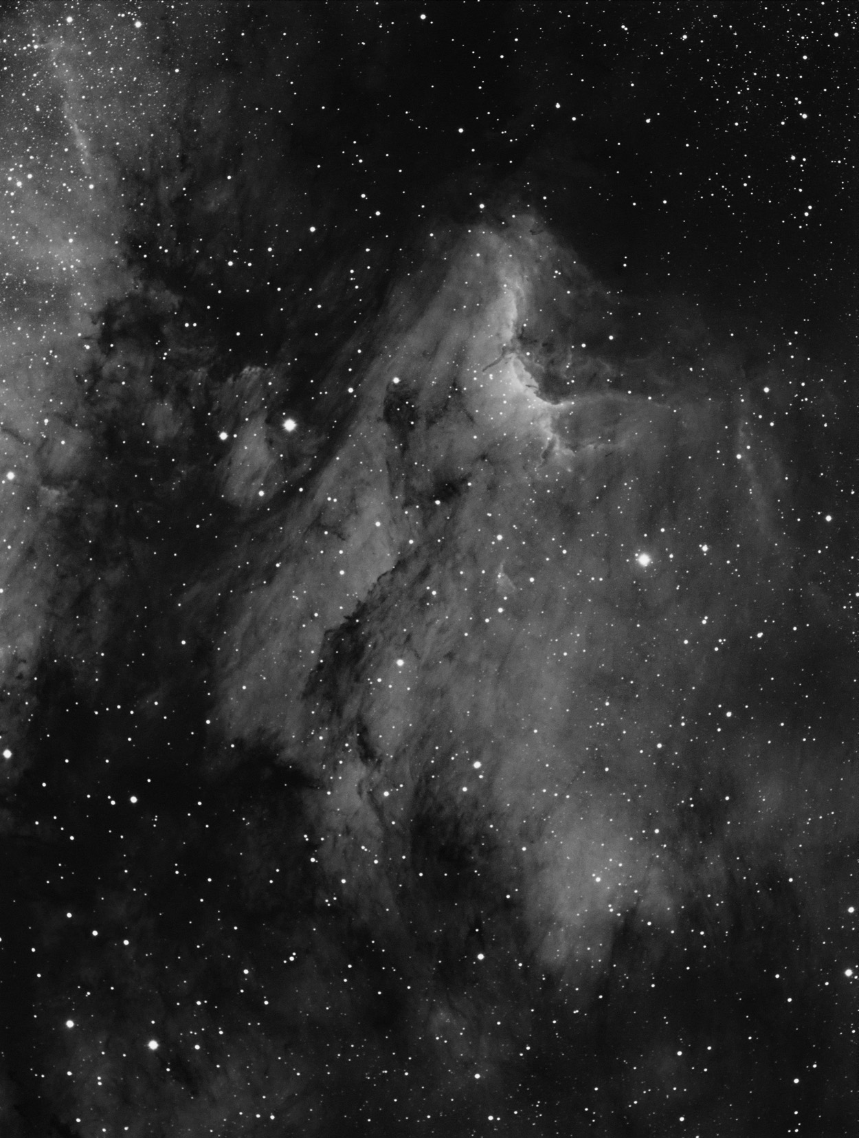 Pelican Nebula in Cygnus