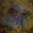IC1396 SHO+RGB