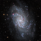 M33 in LRGB