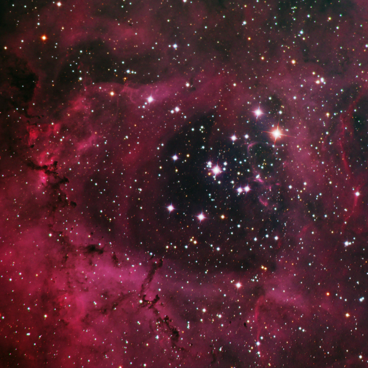 Rosette HaRGB