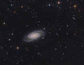 ngc2903 RGB
