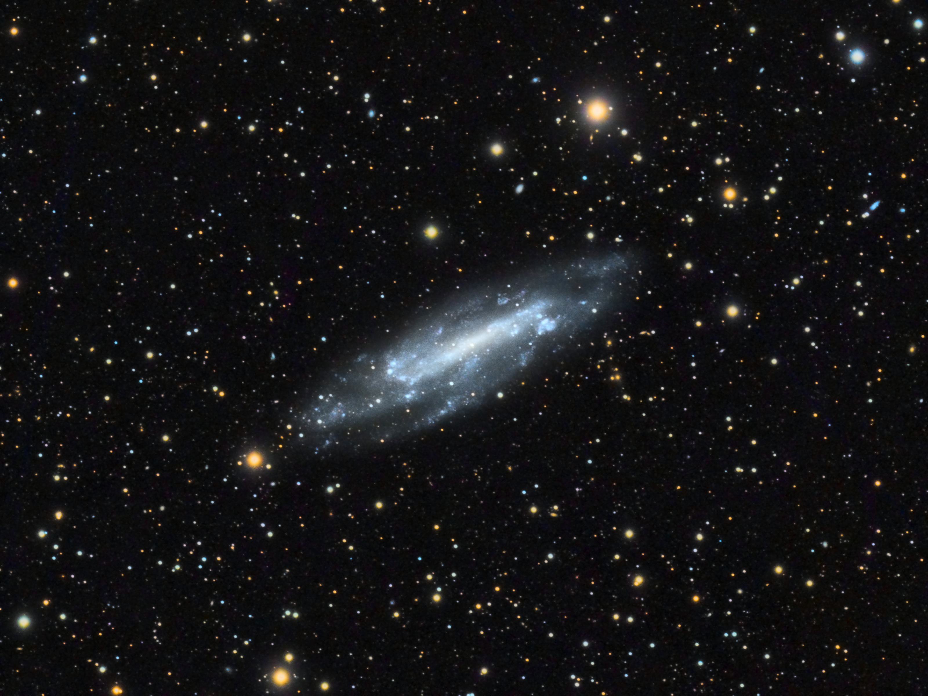 NGC 4236 LRGB